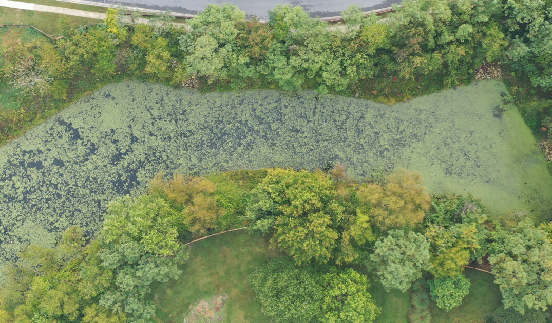 An aerial view of the Autumn Manor Pond
