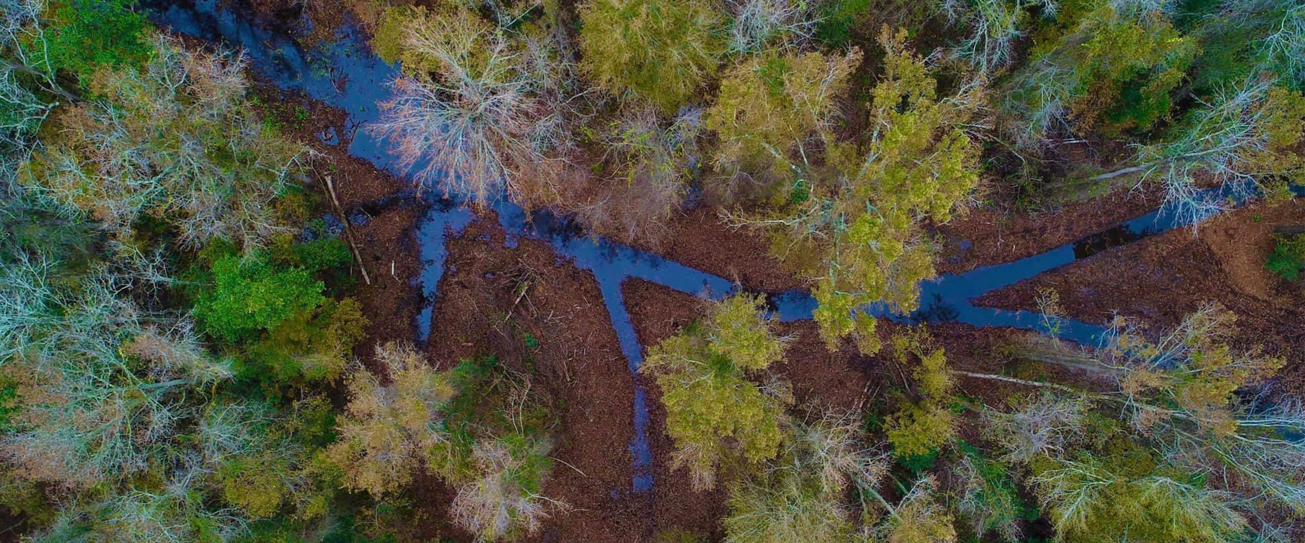 Aerial of a newly restored stream