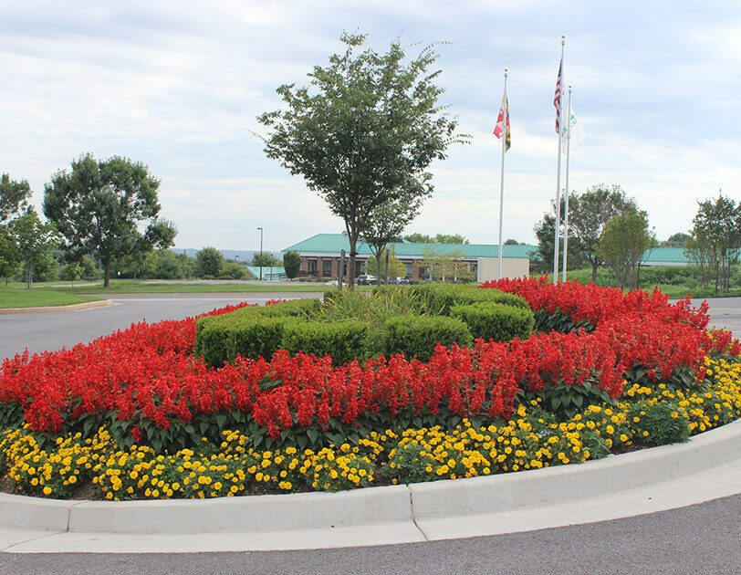 Landscaping feature in a parking lot