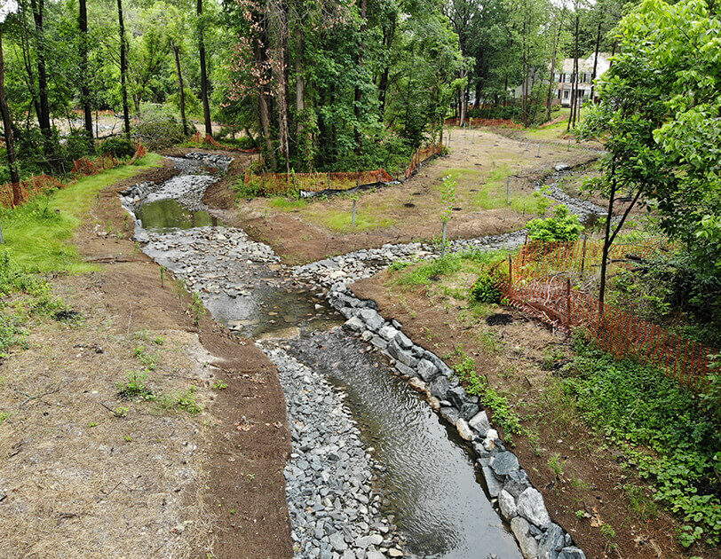 Newly restored stream