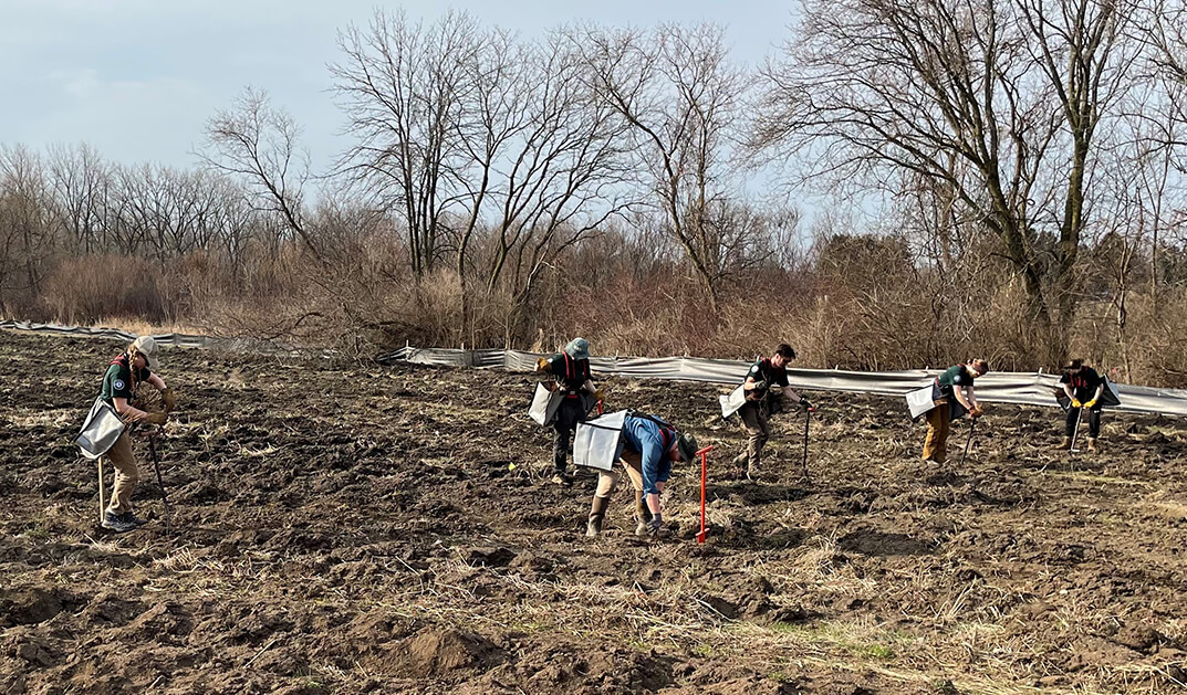 A group of KCI employees plants trees