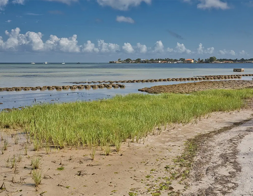 Coastal Engineering