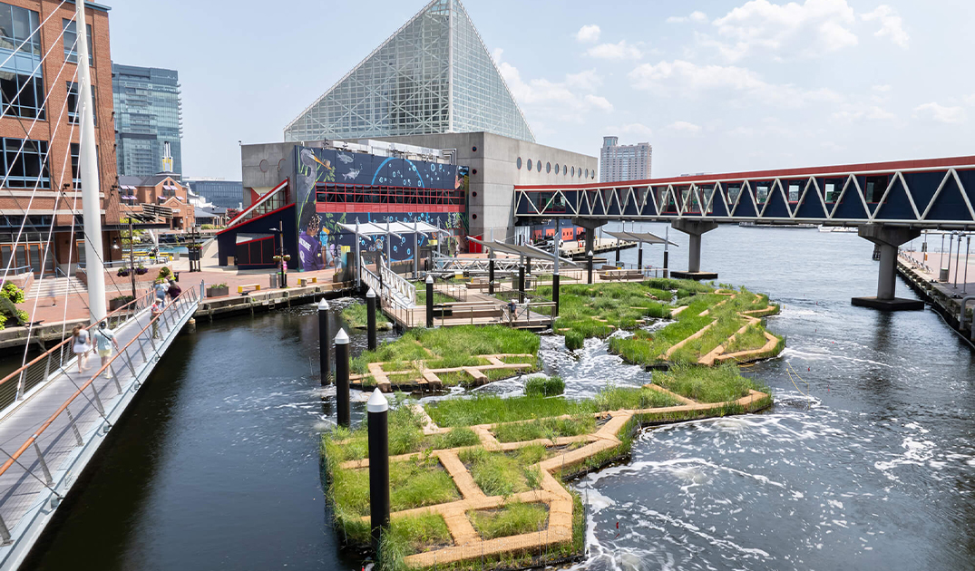 National Aquarium Floating Harbor Wetland