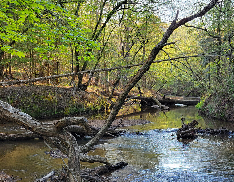 Horse Creek Watershed