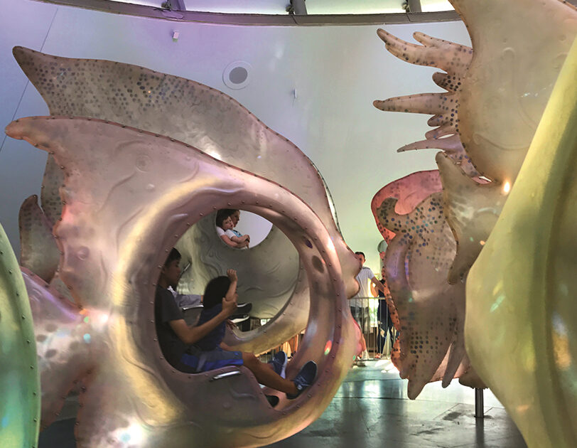 Theme Park Engineering