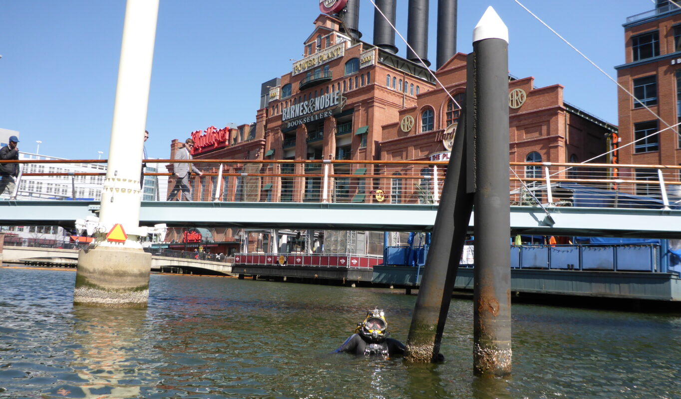 National Aquarium Harbor Floating Wetland