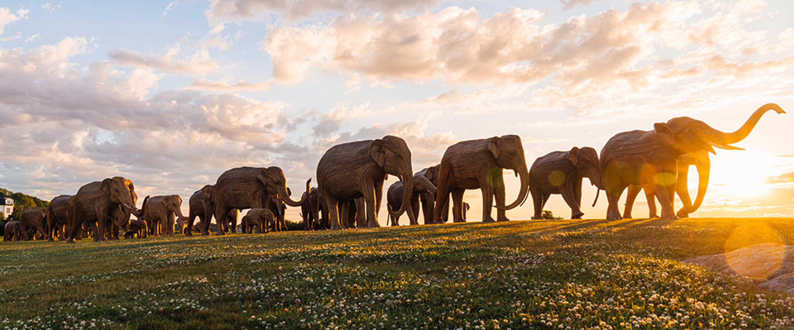 Great Elephant Migration Traveling Sculptures