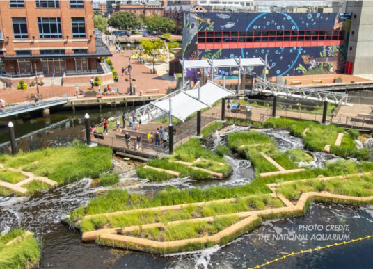 National Aquarium Harbor Floating Wetland