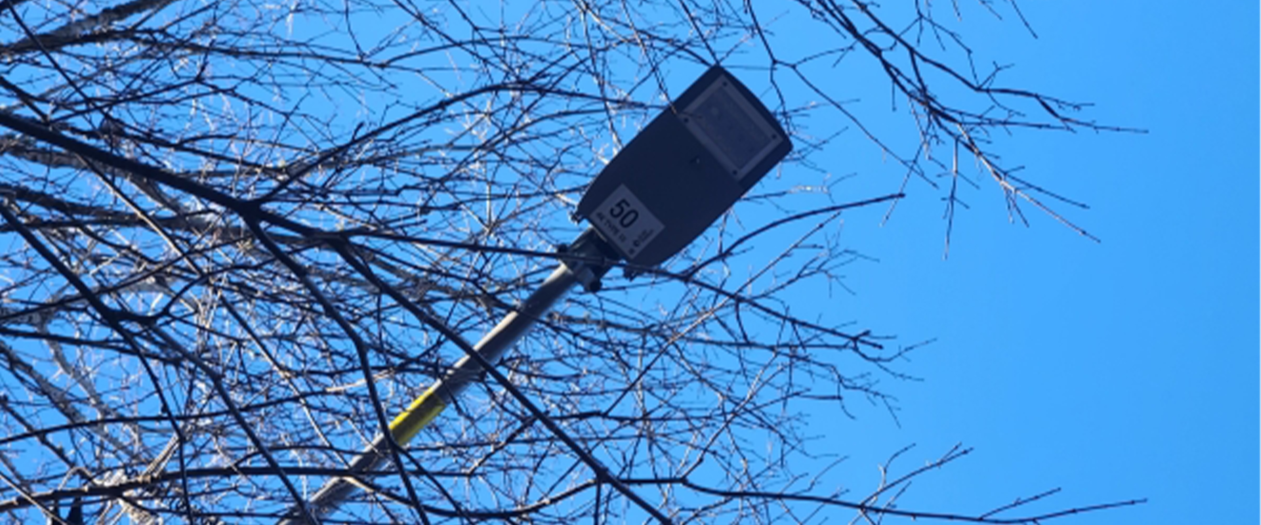 Mercury Vapor Light Replacement