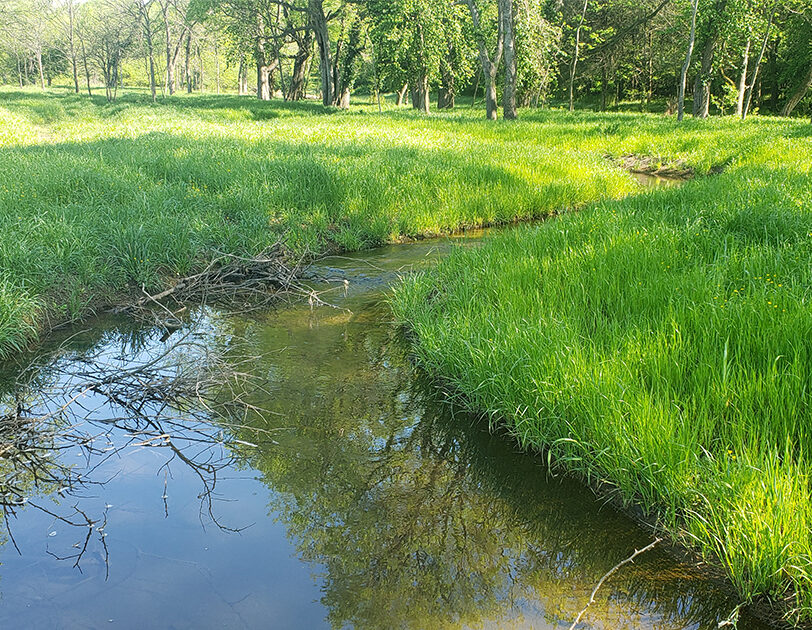 Restored stream channel at Neely's Bend, a stream mitigation bank in Tennessee