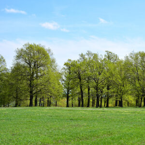 Environmental
