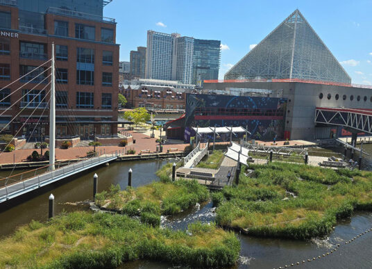 National Aquarium Floating Harbor Wetland