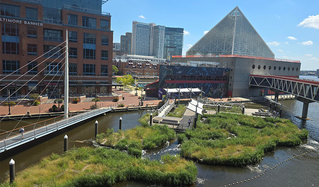 National Aquarium Floating Harbor Wetland