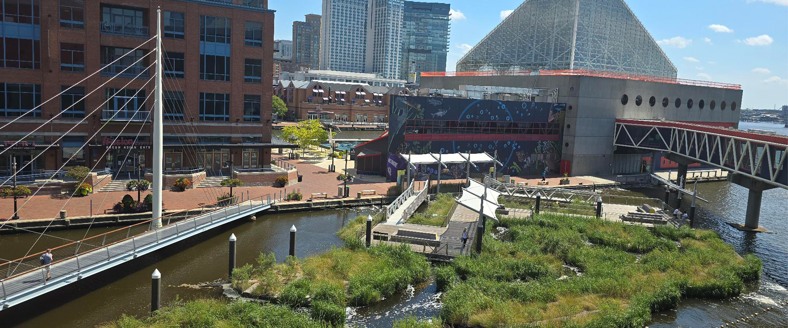 National Aquarium Floating Harbor Wetland