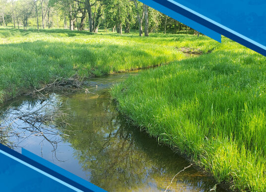 How Stream Quantification Tools Support Environmental Mitigation