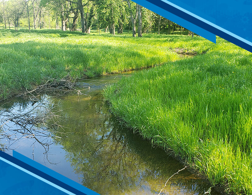 How Stream Quantification Tools Support Environmental Mitigation