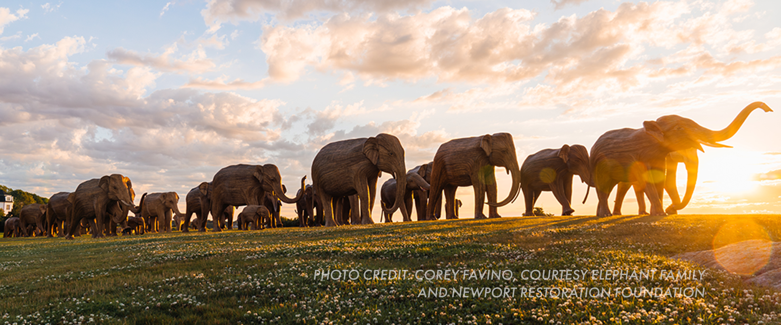 Great Elephant Migration Traveling Sculptures