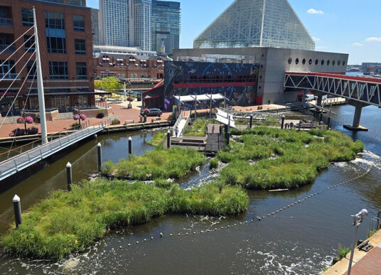 National Aquarium Floating Harbor Wetland
