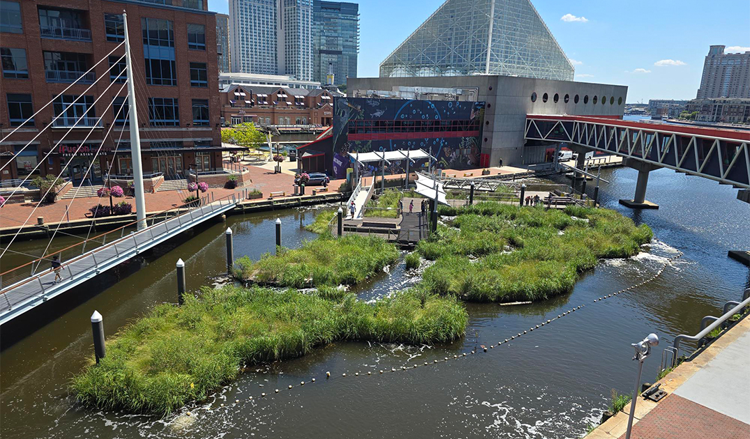 National Aquarium Floating Harbor Wetland