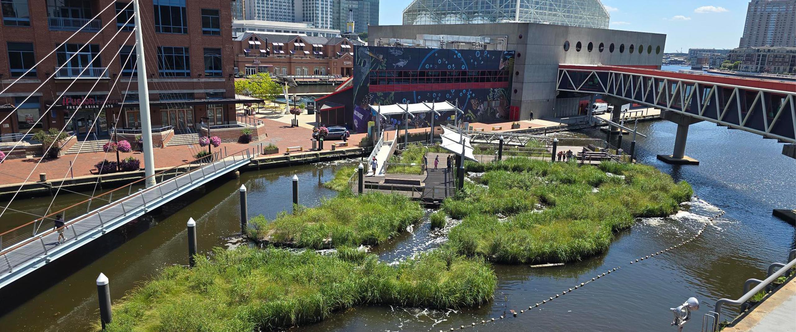 National Aquarium Floating Harbor Wetland