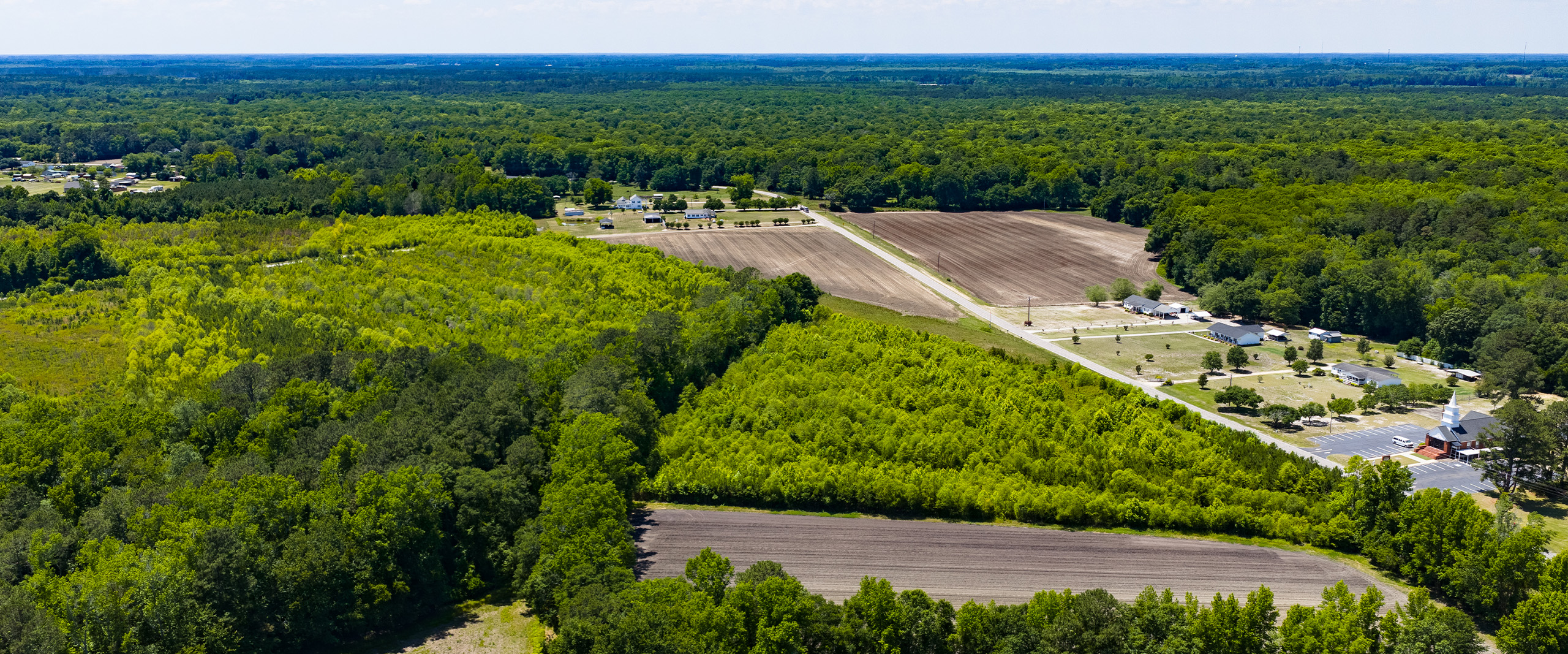 Aerial view of the restored Rough Horn wetland forest adjacent to farmland in Columbus County, North Carolina