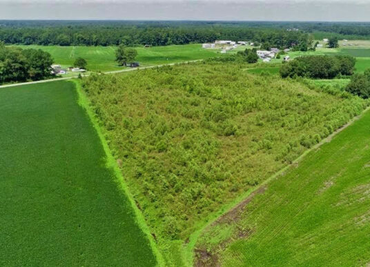 Aerial view of the Twin Bays wetland restoration site in Duplin County, North Carolina