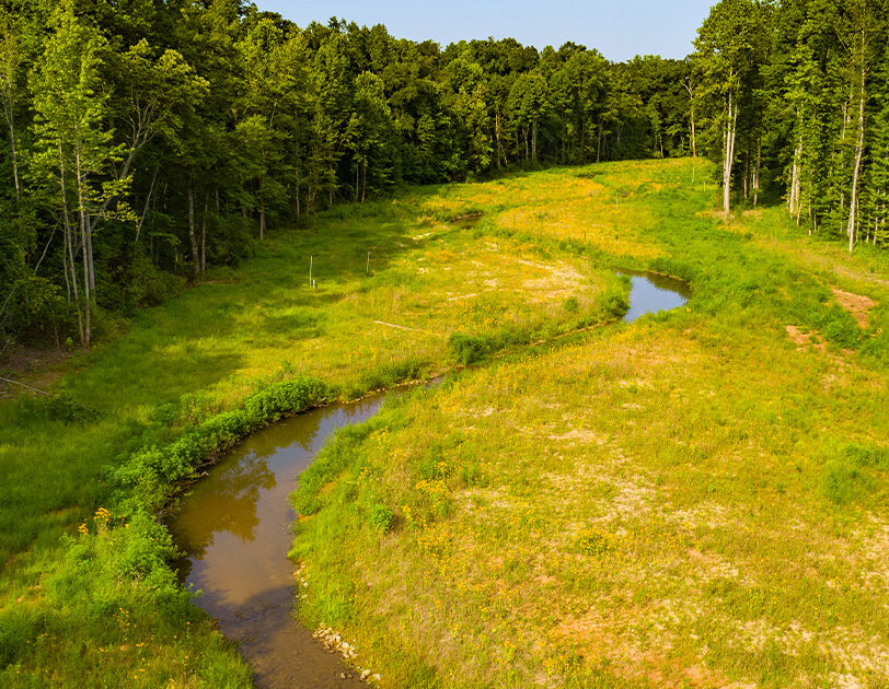 Construction of the Yarbro stream restoration in Cleveland County, North Carolina